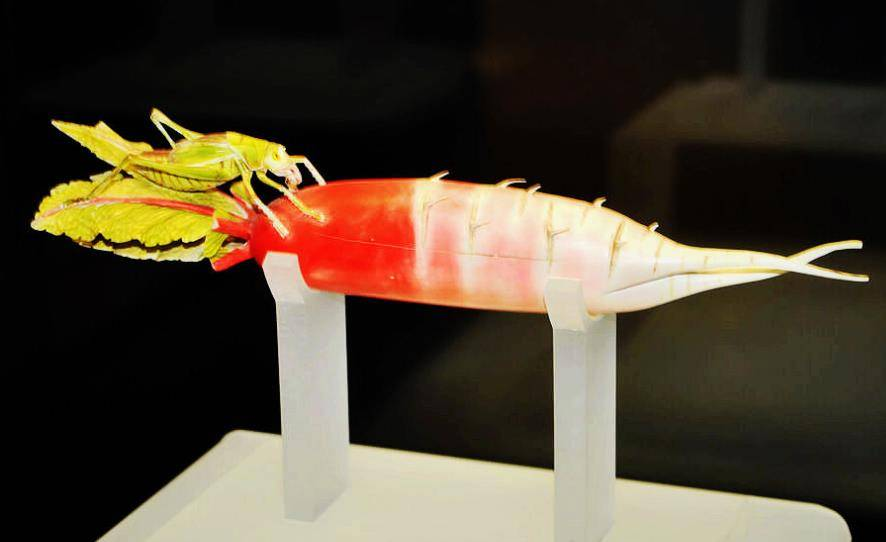 Cuối cùng, người đàn ông này cảm thấy tiếc nuối vì không thể bán củ cải bằng ngà voi này và cảm thấy lo lắng về việc bảo quản để không làm mất giá trị của nó.