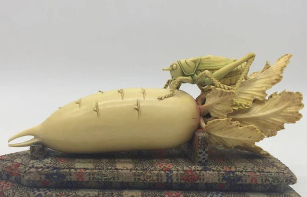 Một người đàn ông đưa một cây " củ cải" để thẩm định giá trị của nó trong một chương trình thẩm định bảo vật ở Trung Quốc.