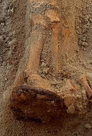 Sự thiếu hiểu biết trong thời kỳ này đã dẫn đến sự phân biệt đối xử với họ, ngay cả sau khi qua đời.