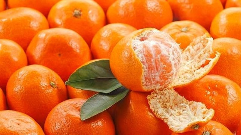 Quýt chứa chất xơ không hòa tan, giúp tạo cảm giác no và kiểm soát thèm ăn, có thể giúp trong quá trình giảm cân.