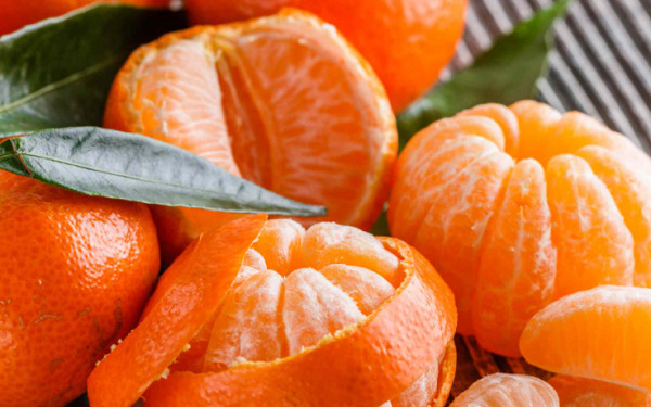 Quả quýt chứa chất chống oxy hóa có thể bảo vệ trước các triệu chứng rối loạn não mạn tính như tâm thần phân liệt, bệnh Alzheimer và bệnh Parkinson.