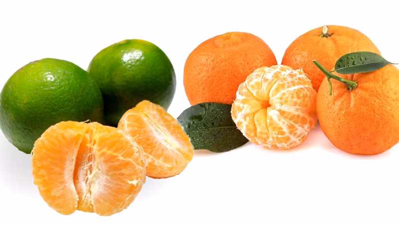 Vitamin C trong quýt giúp tăng cường hệ miễn dịch và bảo vệ cơ thể khỏi vi khuẩn và virus.