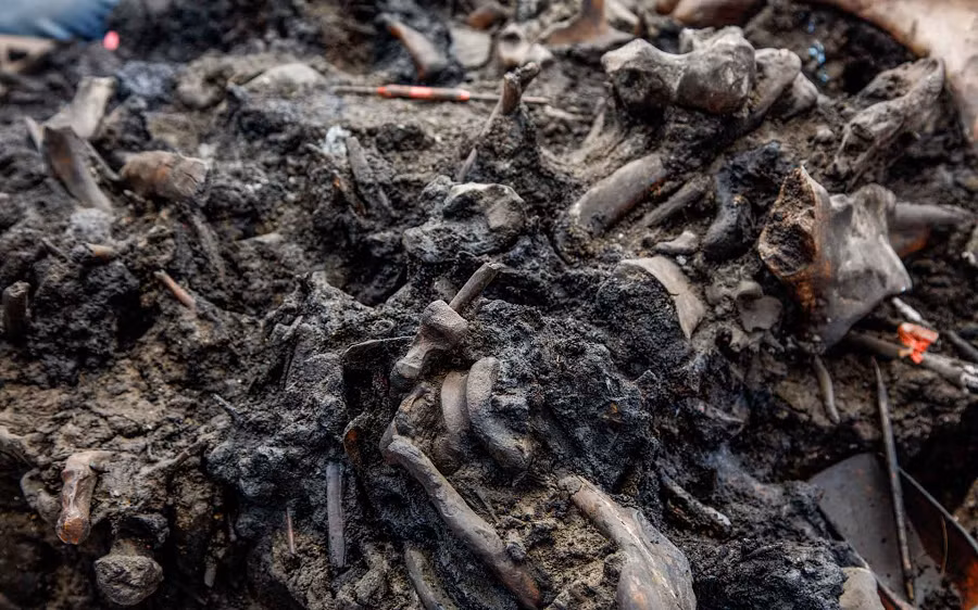 Cuộc nghiên cứu cũng so sánh dữ liệu phấn hoa từ hồ Elsinore ở phía Đông Nam thành phố Los Angeles, giúp khôi phục môi trường cổ xưa và cho thấy sự mở rộng nhanh chóng của dân số con người từ 13.200 năm trước.