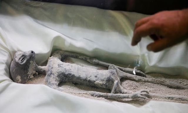 Nhà khoa học Mexico đã thực hiện xét nghiệm ADN và cho rằng chúng không giống bất kỳ loài nào trên Trái Đất, nhưng nhà nhân chủng học người Peru đã hoài nghi và cho rằng chúng có thể là xác ướp trẻ em thời kỳ pre-Hispanic (thời kỳ trước khi tìm ra châu Mỹ).