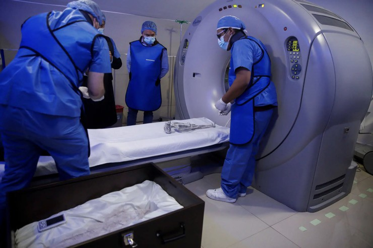 Có một số tranh luận về việc các thi thể này được đưa từ Peru đến Mexico và danh tính của người sở hữu chúng vẫn được giữ bí mật.