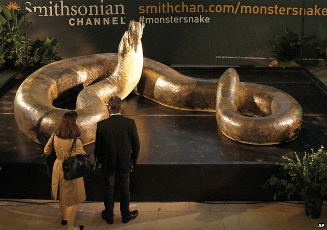 Loài rắn Titanoboa đã tồn tại khoảng từ 50 đến 60 triệu năm trước, trong thời kỳ khí hậu của Trái Đất đang dần ấm lên sau cuộc tuyệt chủng của loài khủng long.