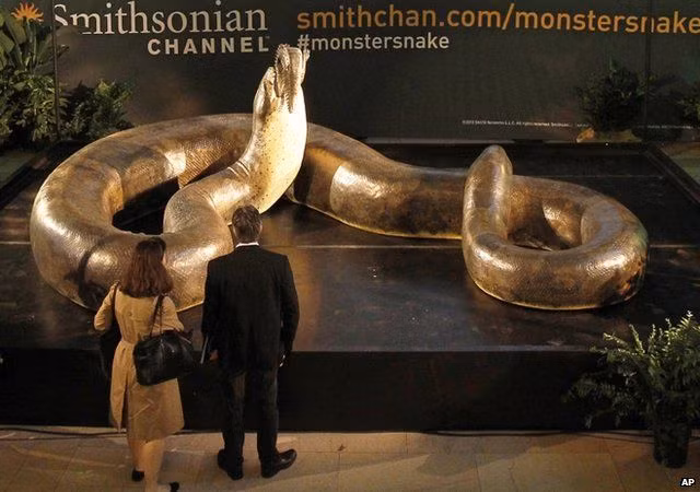 Loài rắn Titanoboa đã tồn tại khoảng từ 50 đến 60 triệu năm trước, trong thời kỳ khí hậu của Trái Đất đang dần ấm lên sau cuộc tuyệt chủng của loài khủng long.