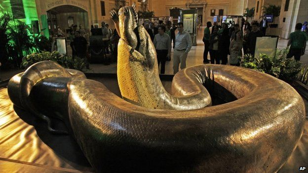 Theo các nhà khoa học, Titanoboa là "quái vật" rắn khổng lồ không có đối thủ từng cai trị trong lịch sử tiền sử Colombia và của Trái Đất.
