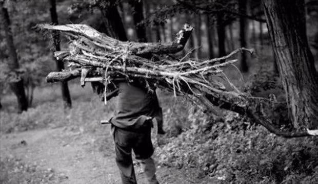 Câu chuyện kể về một học sinh cấp 2 ở tỉnh Hắc Long Giang, Trung Quốc, tên Tiểu Trần. Tiểu Trần sống trong điều kiện khó khăn và thường đi lên núi để nhặt củi khô giúp gia đình. Một ngày, trong lúc nghỉ ngơi trên núi, anh tình cờ nhặt được một chiếc lá kỳ lạ được làm bằng đá.