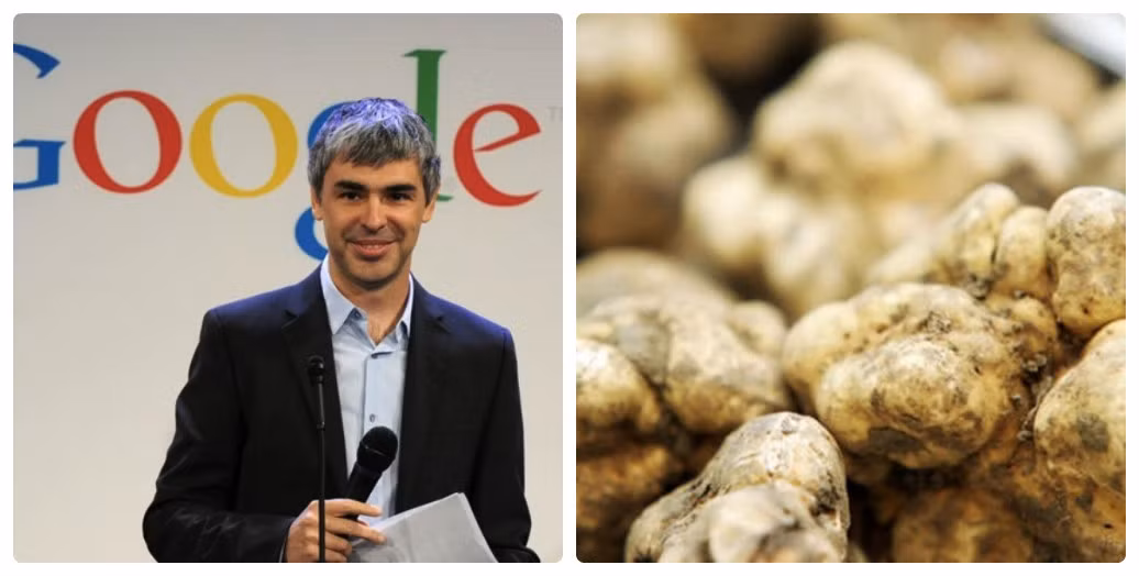 Đồng sáng lập gã khổng lồ Google, Larry Page đặc biệt thích các món ăn từ nấm cục trắng vô cùng đắt đỏ. Ảnh: Boothco.
