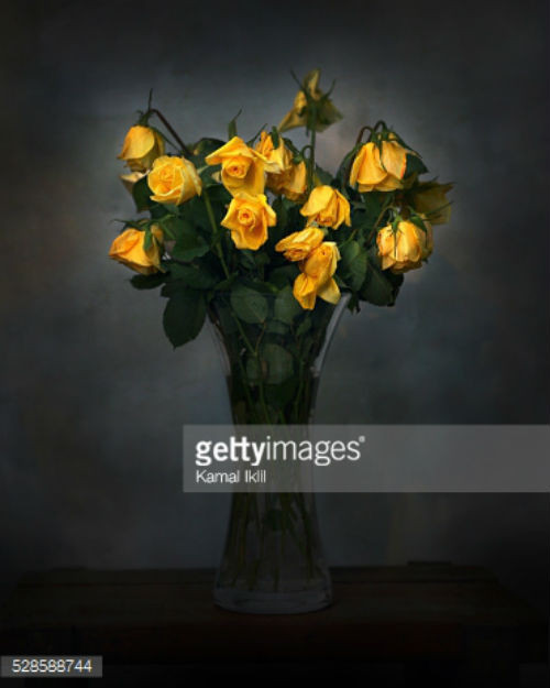 Hoa khô tượng trưng cho sự khô cằn. Do đó, một bức tranh hoa khô trong phòng ngủ mang nguồn năng lượng xấu, không tốt cho gia chủ. Ảnh: Gettyimages.