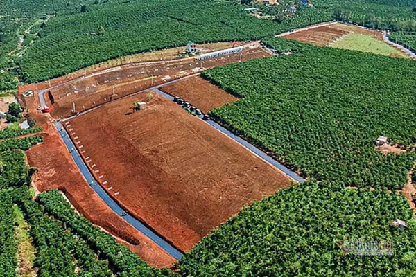 Du an co dat hon hop, Lam Dong “cau cuu” 4 Bo huong dan