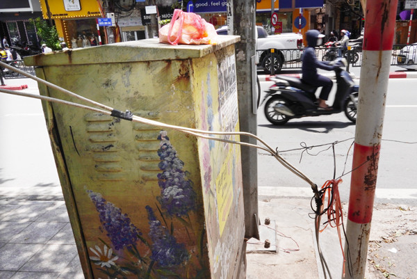 Chủ đề chủ yếu được vẽ trên bốt điện là hoa và phố. Thông qua những bức họa, một Hà Nội xinh đẹp với 12 mùa hoa hay phố cổ thâm trầm đặc trưng đã được tái sinh một cách sinh động, trở thành điểm nhấn với người dân và du khách.