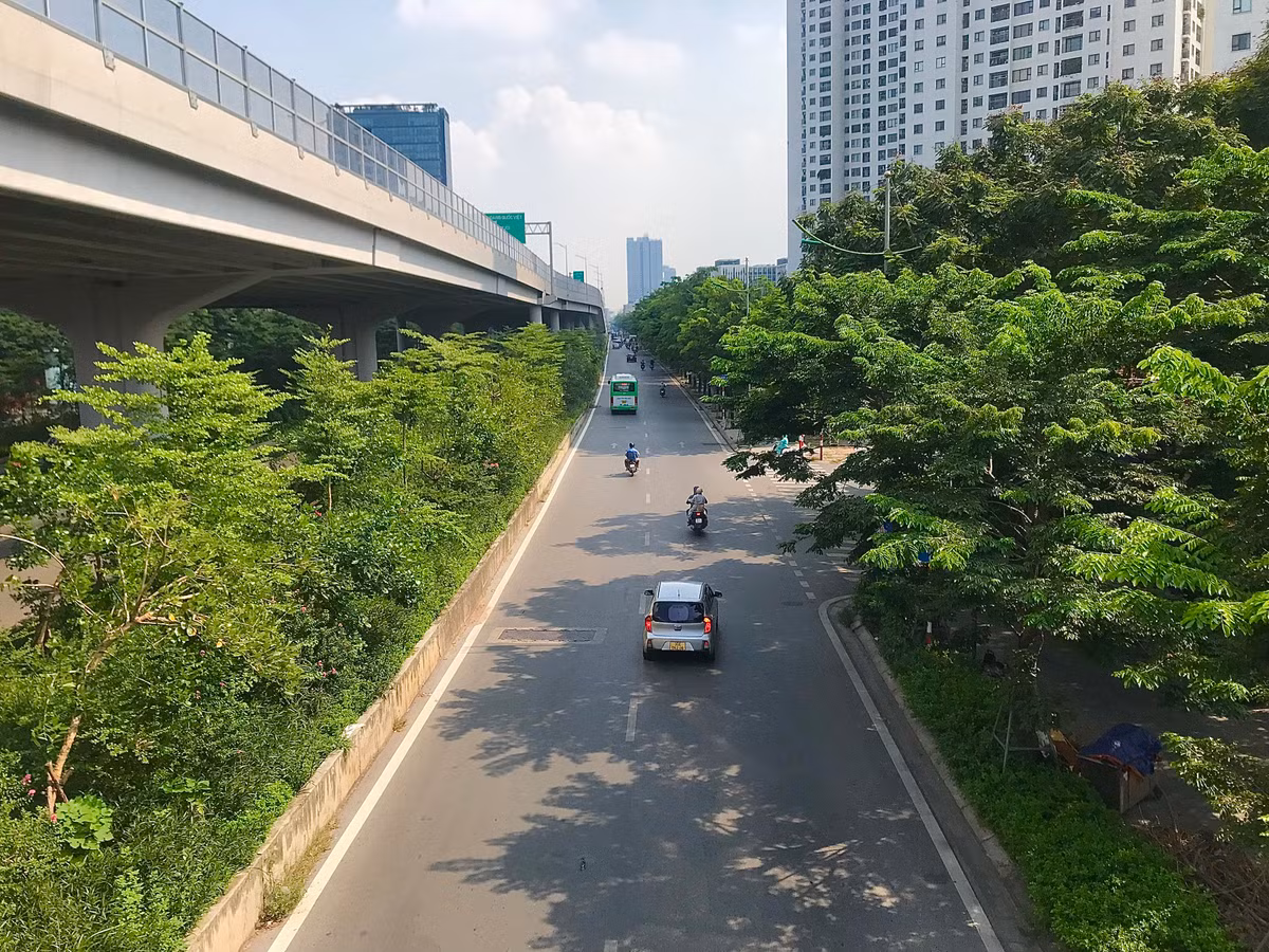 Sau hơn một năm chặt hạ hàng cây xà cừ trăm tuổi, ban quản lý dự án đầu tư xây dựng công trình giao thông Hà Nội đã tiến hành trồng mới hơn 1.500 cây.