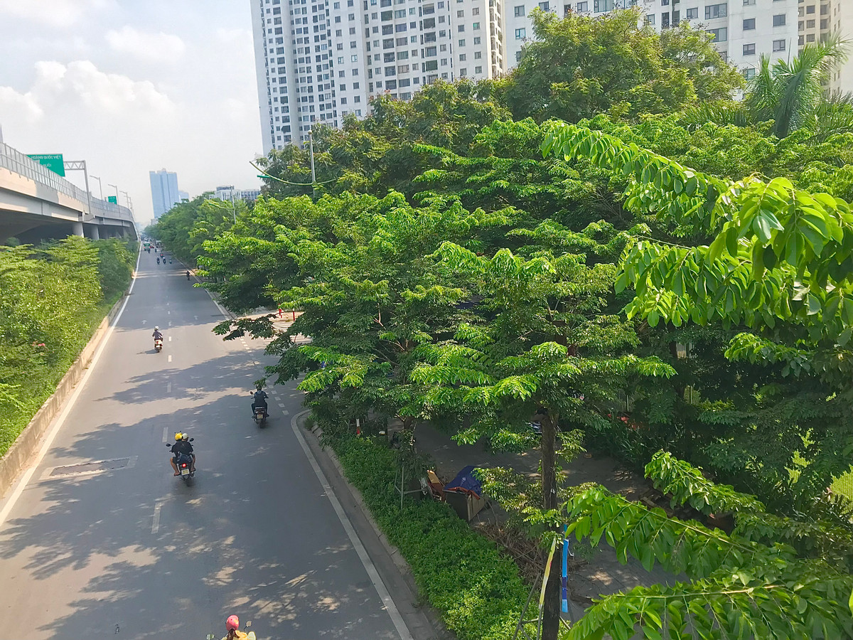 Hàng cây xanh ôm trọn không gian tuyến đường tạo cảm giác mát mẻ, làm diện mạo nơi đây thêm xanh mát hơn.