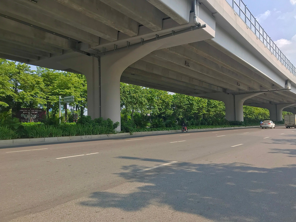 Theo các chuyên gia về cây xanh, loại cây này vừa che tỏa bóng mát, vừa cải thiện môi trường, làm sạch bầu không khí. Rất phù hợp ở đô thị có mật độ dân số cao như Hà Nội.