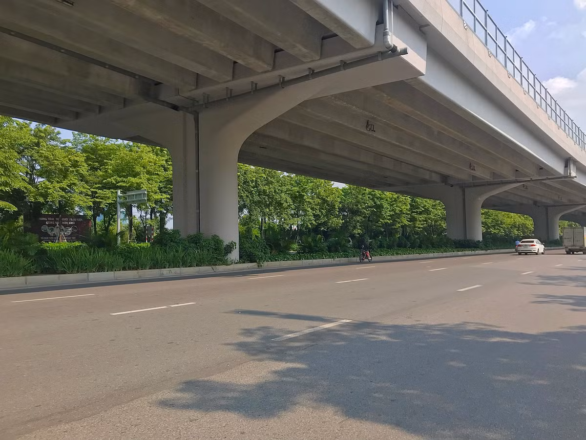 Theo các chuyên gia về cây xanh, loại cây này vừa che tỏa bóng mát, vừa cải thiện môi trường, làm sạch bầu không khí. Rất phù hợp ở đô thị có mật độ dân số cao như Hà Nội.