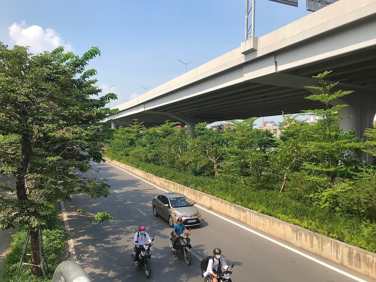 Giữa những ngày nắng chói chang của Hà Nội, cảm giác oi bức sẽ bớt đi phần nào khi đi qua những con đường rợp bóng cây.