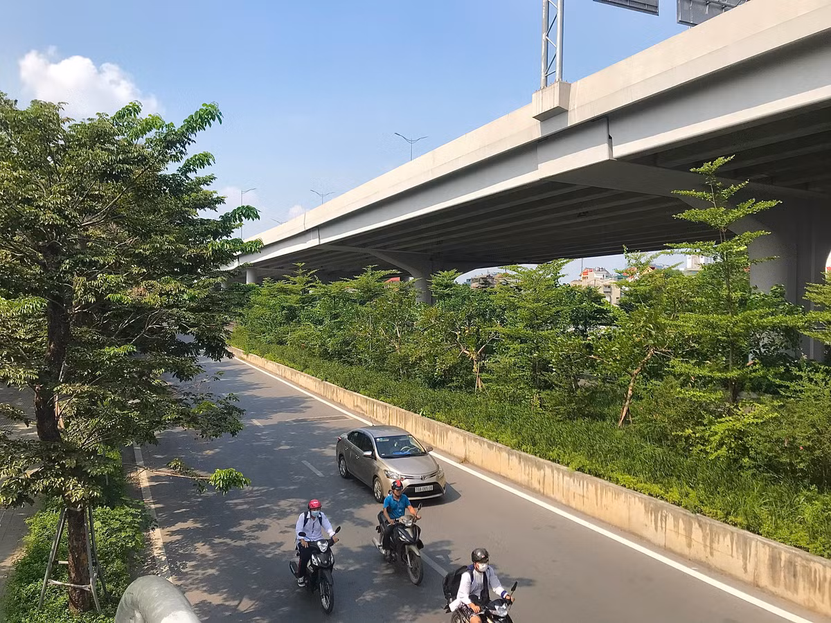 Giữa những ngày nắng chói chang của Hà Nội, cảm giác oi bức sẽ bớt đi phần nào khi đi qua những con đường rợp bóng cây.