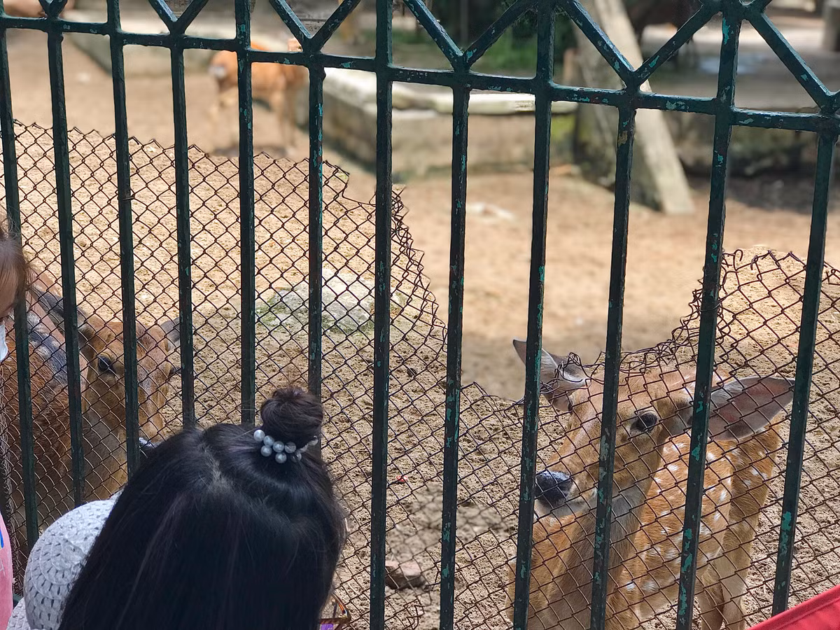 Toan canh 3 cong vien lon o Ha Noi truoc ngay duoc cai tao-Hinh-2