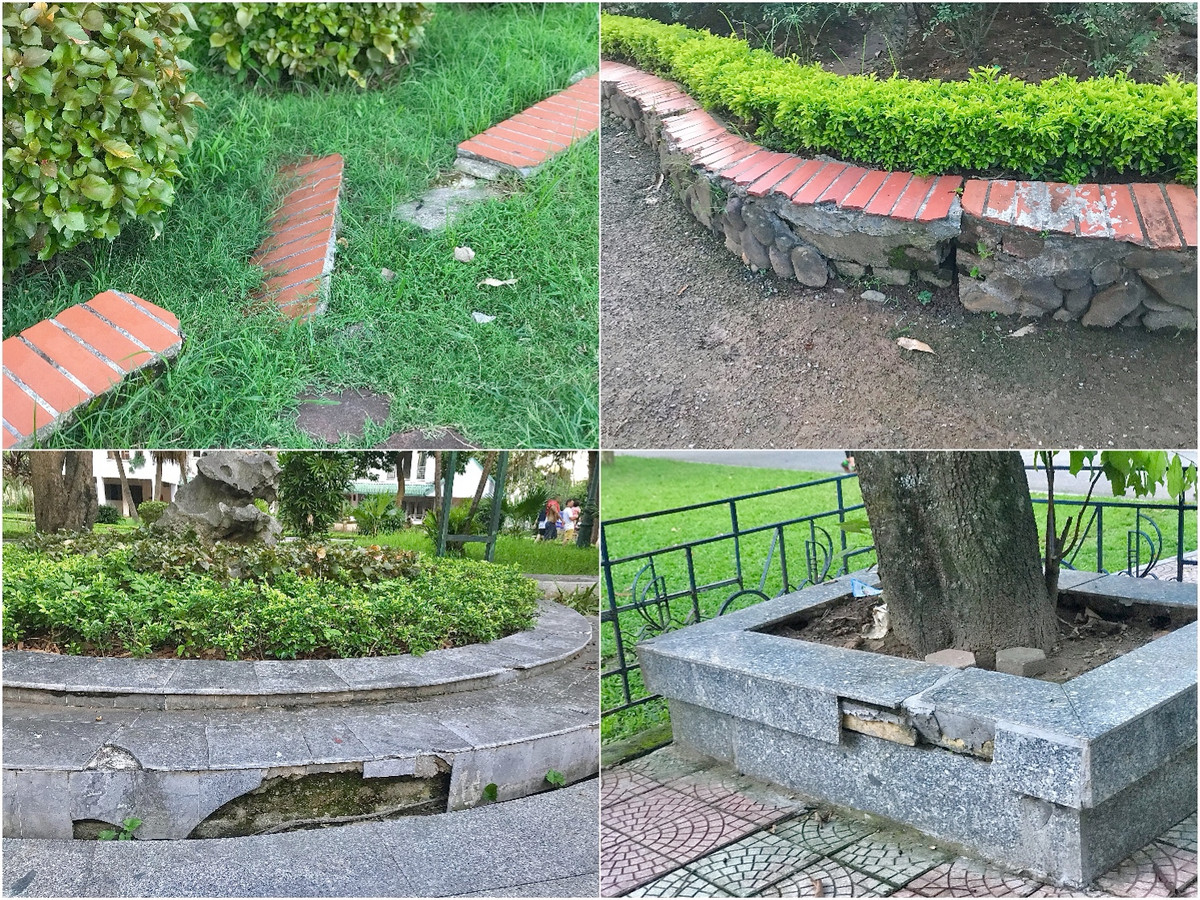 Các bậc thềm, bồn hoa, cây cảnh bị nứt toác thành nhiều mảng trông rất mất mỹ quan.