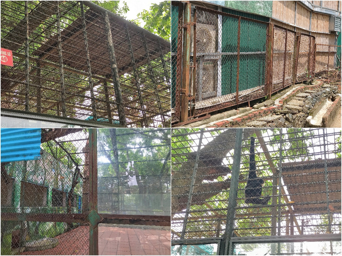 Tại một số chuồng thú, các khung sắt bảo vệ đã hoen gỉ, thậm chí tạo ra những khe hở gây mất an toàn cho khách thăm quan.