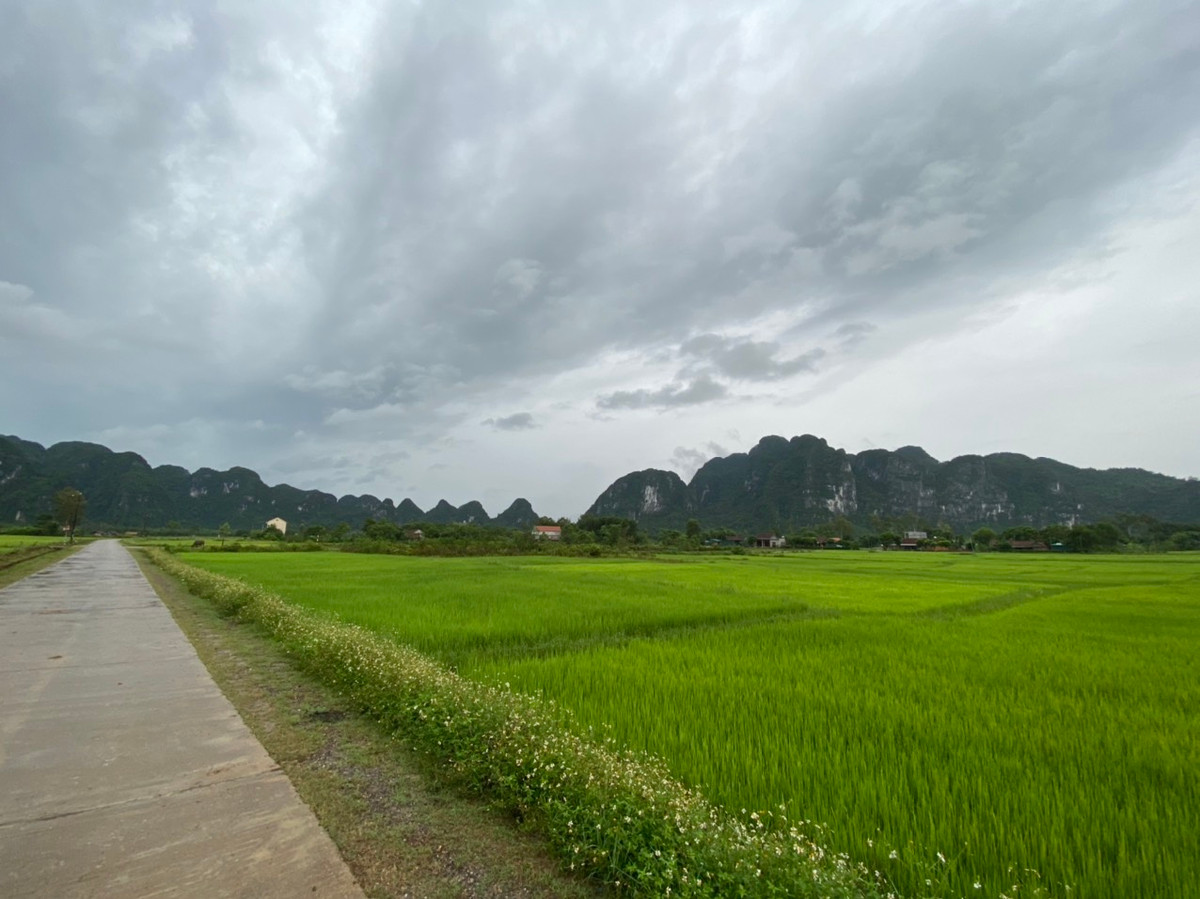 Doc dao nhung ngoi nha phao noi vung “ron lu” Quang Binh