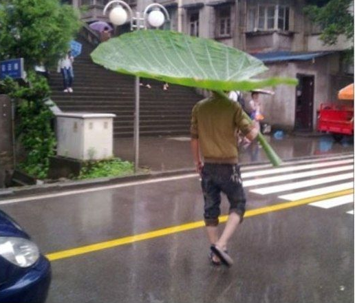 Mê cái ô này ghê cơ.