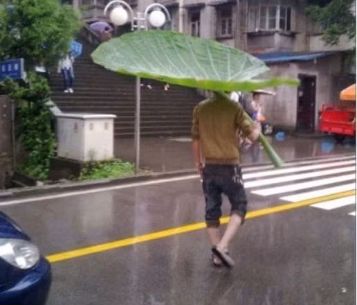 Mê cái ô này ghê cơ.