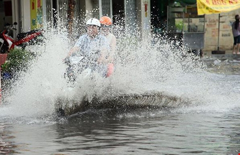 Xin lỗi nhé, tôi không cố tình!