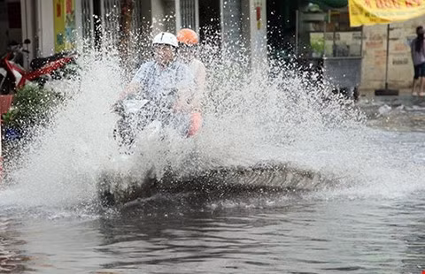 Xin lỗi nhé, tôi không cố tình!