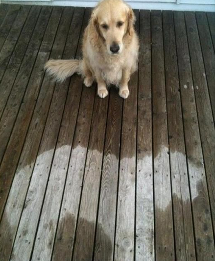 Ngủ quên không biết là trời mưa luôn.