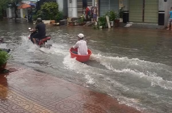 Lướt sóng phiên bản cây nhà lá vườn.