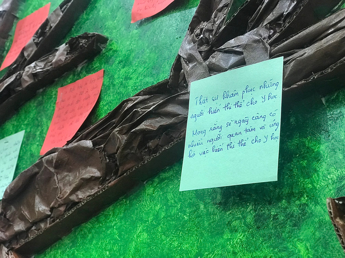 Bạn Nguyễn Thị Quỳnh Anh (uỷ viên Ban Chấp hành Hội Sinh viên Đại học Y Hà Nội) cho biết: "Để trở thành một bác sĩ y khoa thì sinh viên phải trải qua môn học giải phẫu. Khi học trên sách vở , mô hình tuy đã được 3D hóa rồi nhưng cảm giác chân thật không thể nào so được với cơ thể người thật. Khi được học trên thân thể người thật, chúng em có thể quan sát kỹ hơn chi tiết của bộ phận, đây có thể coi là kinh nghiệm để chúng em sau này thực hành lâm sàng. Có thể nói, thi thể hiến tặng là kho tư liệu quý giá nhất để giảng dạy cho sinh viên y khoa".