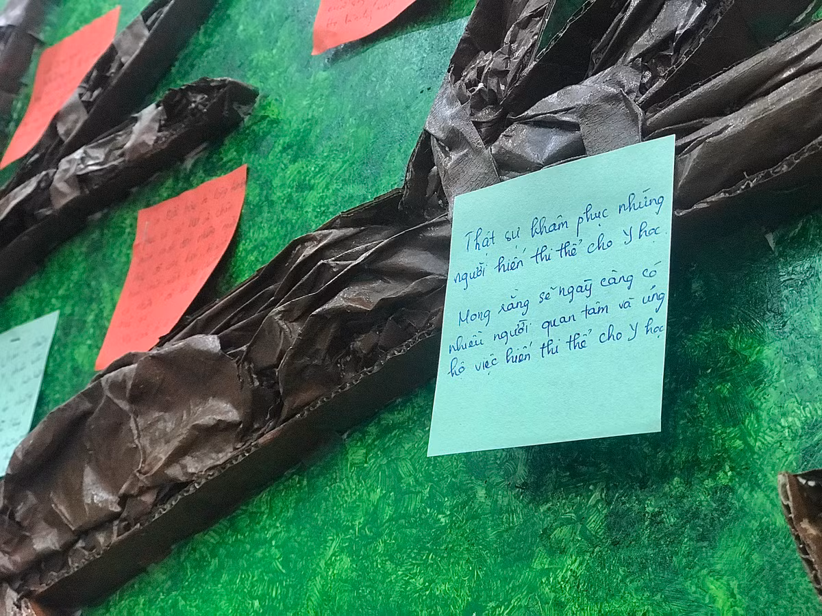 Bạn Nguyễn Thị Quỳnh Anh (uỷ viên Ban Chấp hành Hội Sinh viên Đại học Y Hà Nội) cho biết: "Để trở thành một bác sĩ y khoa thì sinh viên phải trải qua môn học giải phẫu. Khi học trên sách vở , mô hình tuy đã được 3D hóa rồi nhưng cảm giác chân thật không thể nào so được với cơ thể người thật. Khi được học trên thân thể người thật, chúng em có thể quan sát kỹ hơn chi tiết của bộ phận, đây có thể coi là kinh nghiệm để chúng em sau này thực hành lâm sàng. Có thể nói, thi thể hiến tặng là kho tư liệu quý giá nhất để giảng dạy cho sinh viên y khoa".