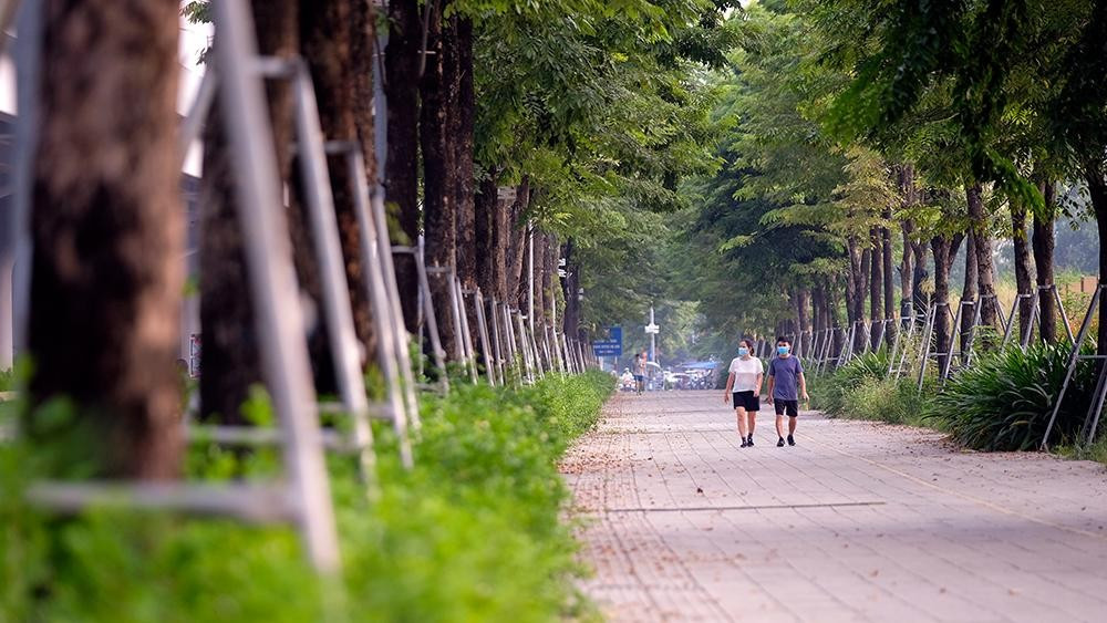 Đơn vị quản lý đã tiến hành lắp cột sắt, giá đỡ để bảo vệ cây không bị xiêu vẹo, gãy đổ do thời tiết. (Ảnh: TP)