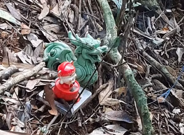 Toan canh vu 2 thi the tro xuong nam tren vong giua rung sau-Hinh-5