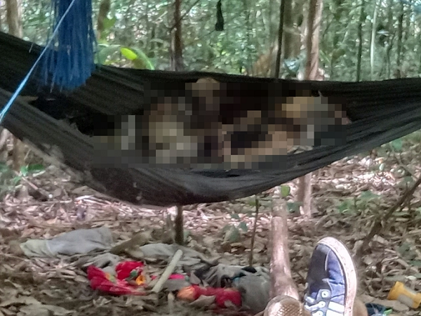 Toan canh vu 2 thi the tro xuong nam tren vong giua rung sau