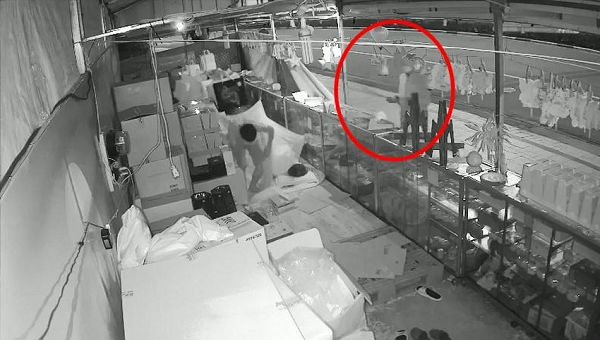  Cầm mã tấu đe dọa cướp bánh Trung thu: Rạng sáng 12/8, một nhóm thanh niên đến trước sạp bán bánh Trung thu nằm trên quốc lộ 13, thuộc địa bàn phường Phú Hòa (TP Thủ Dầu Một, Bình Dương), cầm mã tấu phá bạt che cửa và đòi xin 5 hộp bánh Trung thu để mang về cho đại ca đem đi biếu. Vì quá hoảng sợ nên nhân viên cửa hàng phải làm theo yêu cầu của nhóm người này. Hiện vụ việc đang được cơ quan chức năng điều tra là rõ.