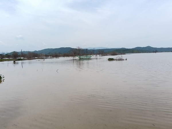  Hai anh em đi bắt ốc, tử vong dưới hồ thủy lợi: Ngày 5/8, Công an huyện Bắc Bình, tỉnh Bình Thuận cho biết, đã tìm thấy 2 thi thể nạn nhân đi bắt ốc bị mất tích trên hồ thủy lợi Sông Lũy vào ngày 3/8. Trước đó, ngày 4/8, người dân đi đánh bắt cá tại hồ thủy lợi Sông Lũy phát hiện 2 thi thể nên đã trình báo công an. Hai nạn nhân trên được xác định là T.Q.T. (18 tuổi, ngụ xã Phan Sơn) và T.L.U.P. (13 tuổi ngụ xã Phan Sơn). Trước đó, vào ngày 3/8, Công an xã Phan Lâm, huyện Bắc Bình nhận được tin hai em T. và P. đi bắt ốc nhưng không thấy về nhà.