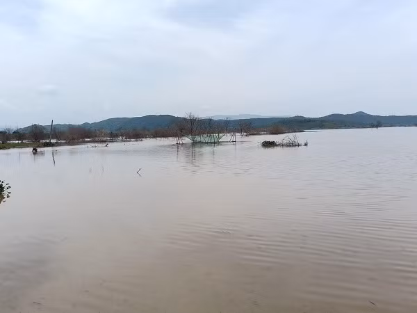  Hai anh em đi bắt ốc, tử vong dưới hồ thủy lợi: Ngày 5/8, Công an huyện Bắc Bình, tỉnh Bình Thuận cho biết, đã tìm thấy 2 thi thể nạn nhân đi bắt ốc bị mất tích trên hồ thủy lợi Sông Lũy vào ngày 3/8. Trước đó, ngày 4/8, người dân đi đánh bắt cá tại hồ thủy lợi Sông Lũy phát hiện 2 thi thể nên đã trình báo công an. Hai nạn nhân trên được xác định là T.Q.T. (18 tuổi, ngụ xã Phan Sơn) và T.L.U.P. (13 tuổi ngụ xã Phan Sơn). Trước đó, vào ngày 3/8, Công an xã Phan Lâm, huyện Bắc Bình nhận được tin hai em T. và P. đi bắt ốc nhưng không thấy về nhà.