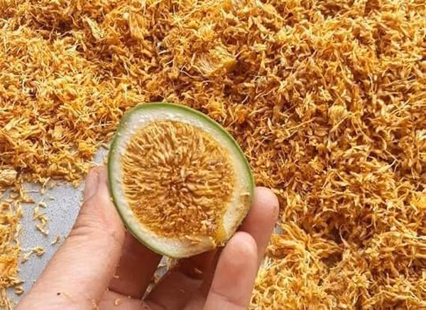 Loai qua rung nhin nhu qua sung, hat ban 400.000 dong/kg-Hinh-2