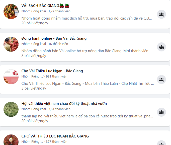 Vai thieu Bac Giang len ke sieu thi, san TMDT tieu thu nhanh... thu loi?-Hinh-3