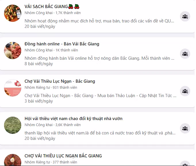 Vai thieu Bac Giang len ke sieu thi, san TMDT tieu thu nhanh... thu loi?-Hinh-3