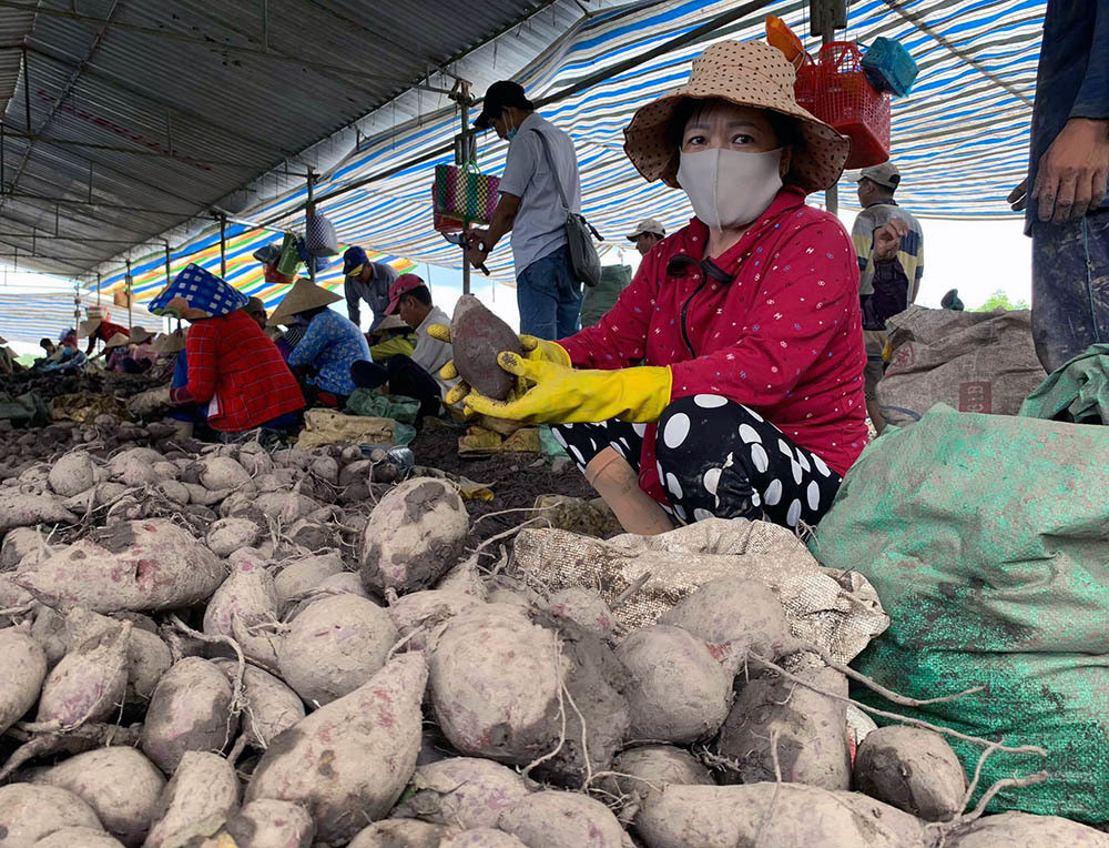 Vai thieu Bac Giang len ke sieu thi, san TMDT tieu thu nhanh... thu loi?-Hinh-2