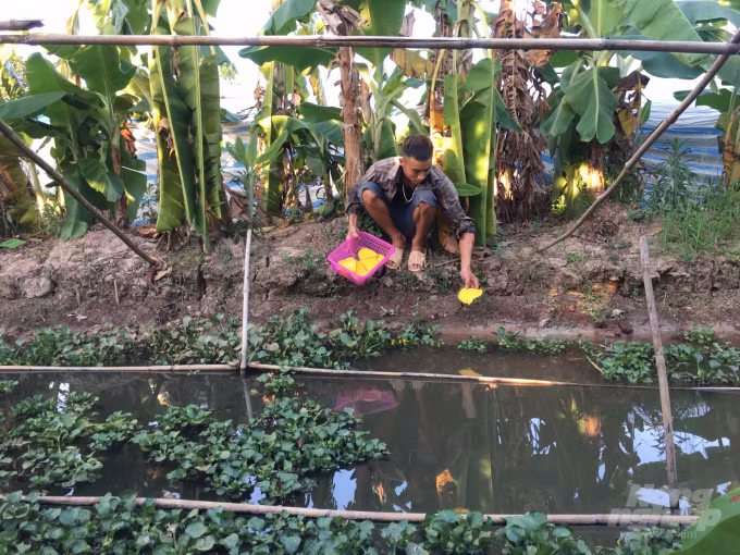 Ty phu oc tuoi 23-Hinh-3