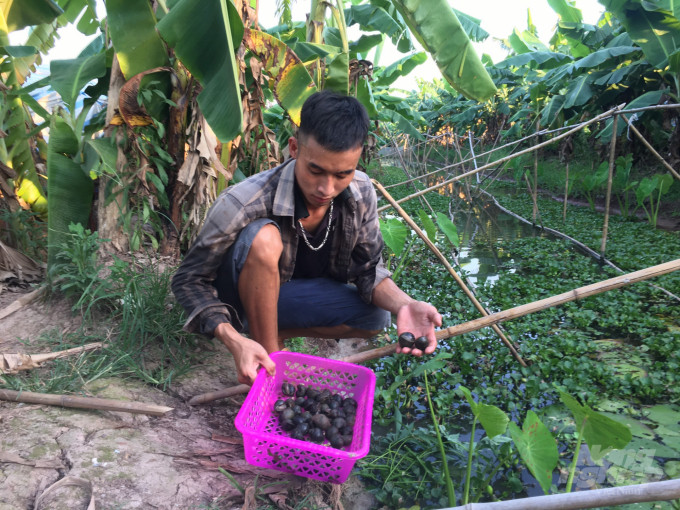 Ty phu oc tuoi 23-Hinh-2