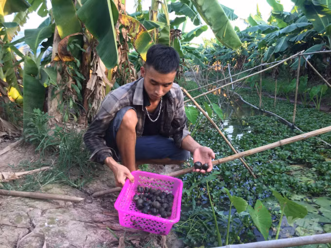 Ty phu oc tuoi 23-Hinh-2