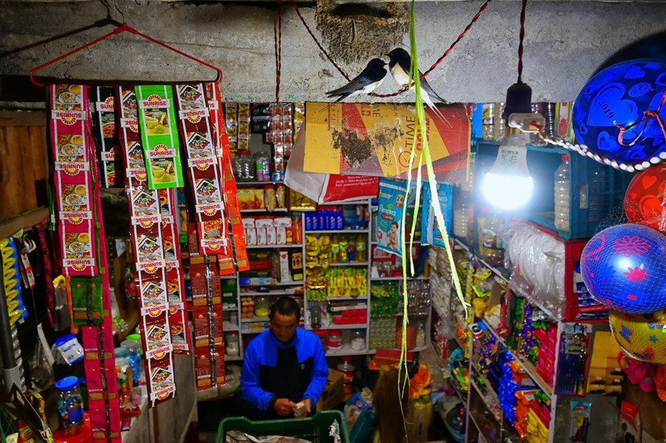 Giải thưởng hạng mục "Động vật hoang dã nơi đô thị" thuộc về Kallol Mukherjee với hình ảnh "Các thành viên gia đình có cánh". Những con én trong chuồng đang xây tổ ngay bên trong cửa hàng trên dãy Himalaya. Chúng tránh xa những động vật săn mồi một cách an toàn. Chim én được tôn kính là nữ thần của sự giàu có và tài lộc. Chúng được coi là điềm báo của hòa bình và thịnh vượng. Vì vậy, mọi người vui vẻ chấp nhận phân và những phiền toái khác do loài chim này tạo ra.