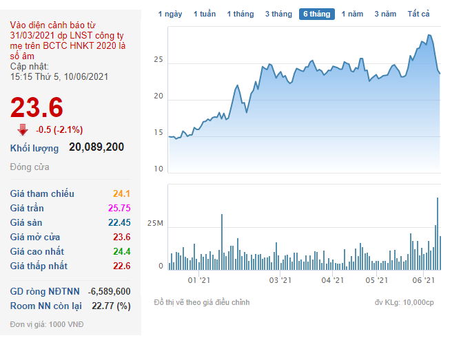 Soi suc khoe tai chinh Dat Xanh truoc khi co phieu lao doc... NDT quay dau-Hinh-2
